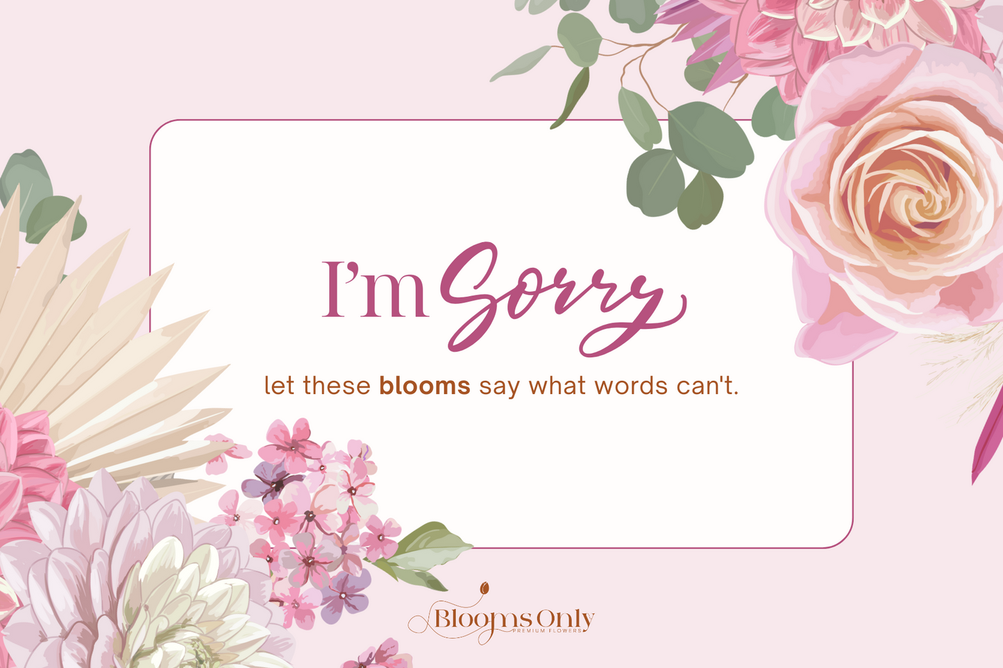 Im Sorry Card