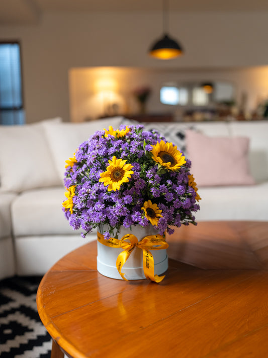 Violet Sunshine