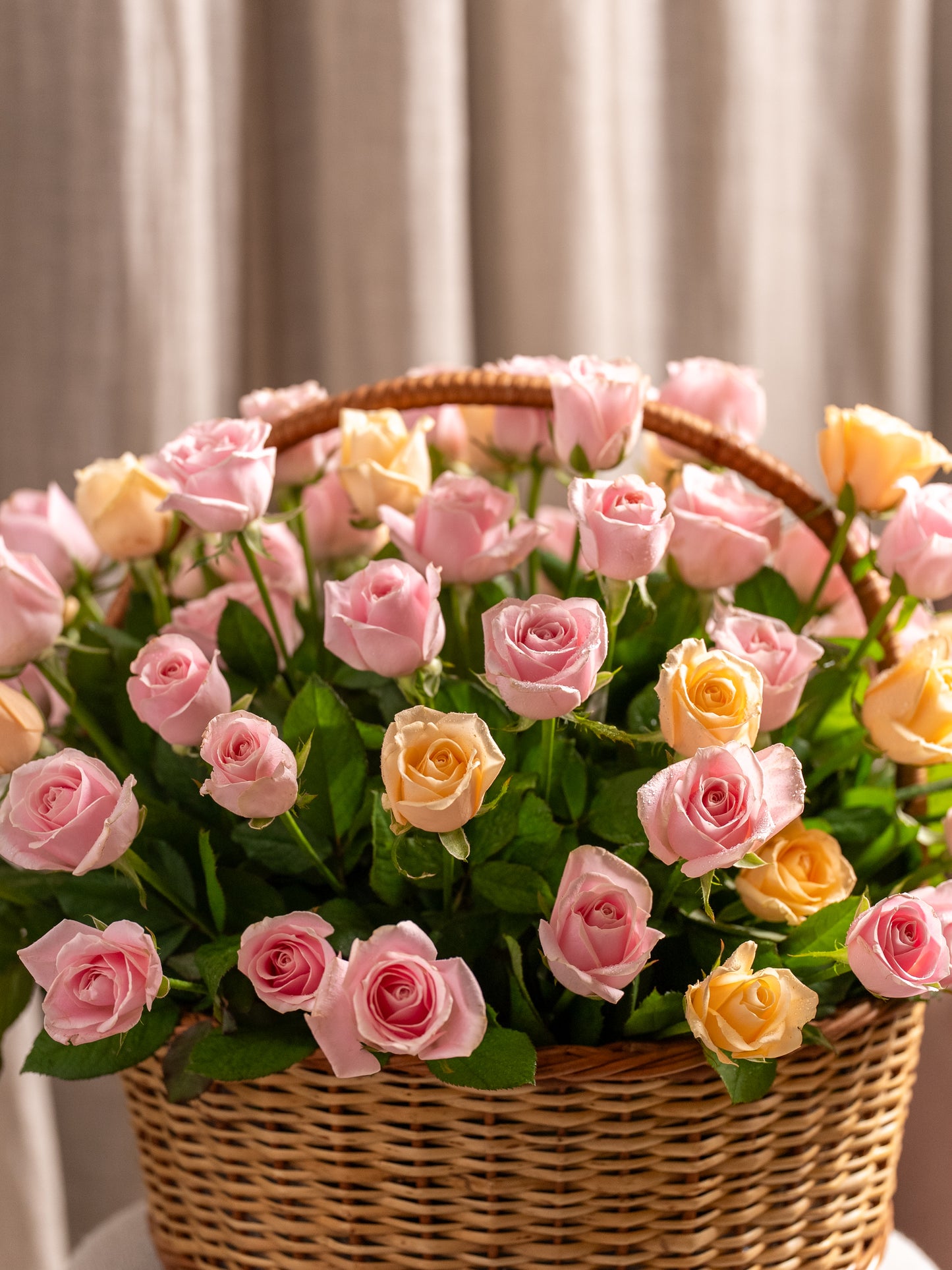 Century of Love