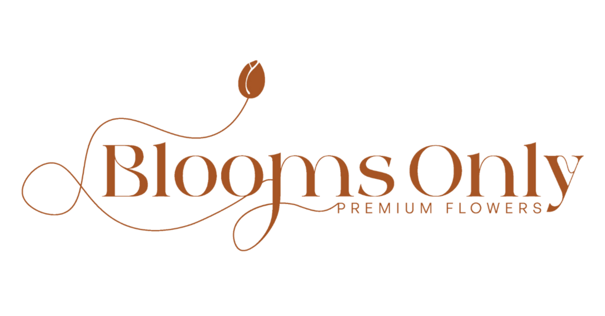 Collection Only All Collections – Blooms Only