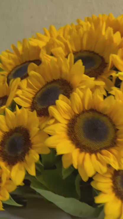 The Sunlit Bunch - 70 Sunflowers Hand Bouquet